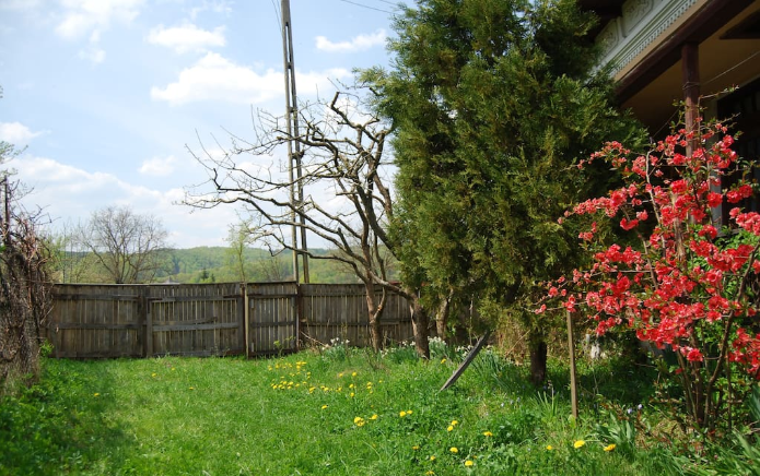 cazare casa traditionala valsanesti