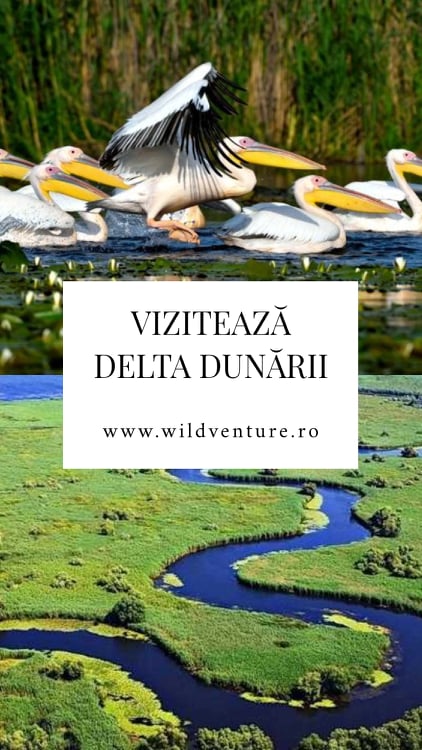 viziteaza delta dunarii