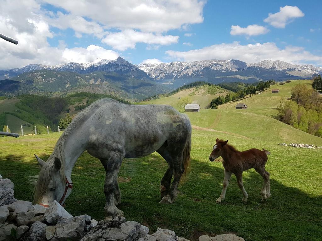 peisaje amfiteatrul transilvania