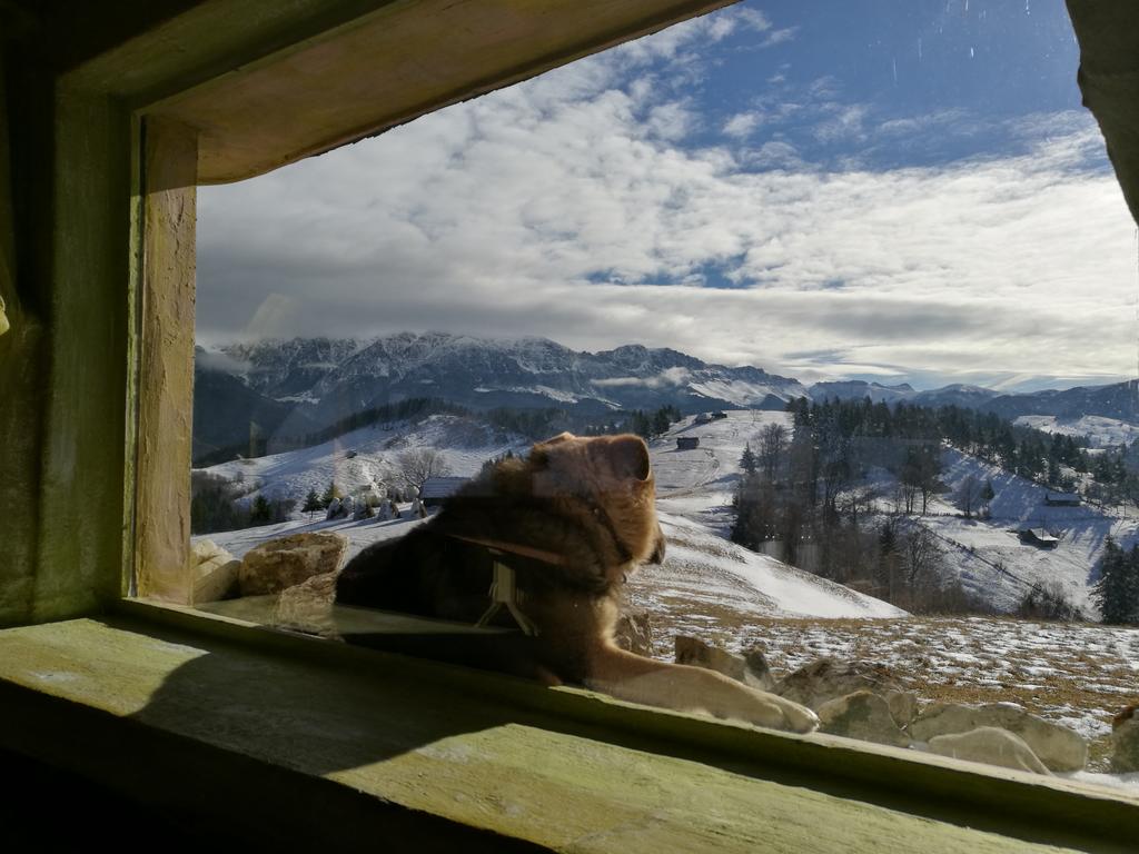 peisaje amfiteatrul transilvania