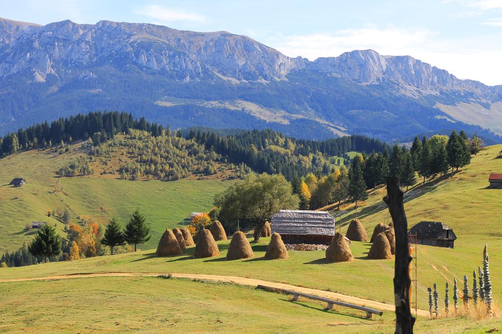 peisaje bucegi