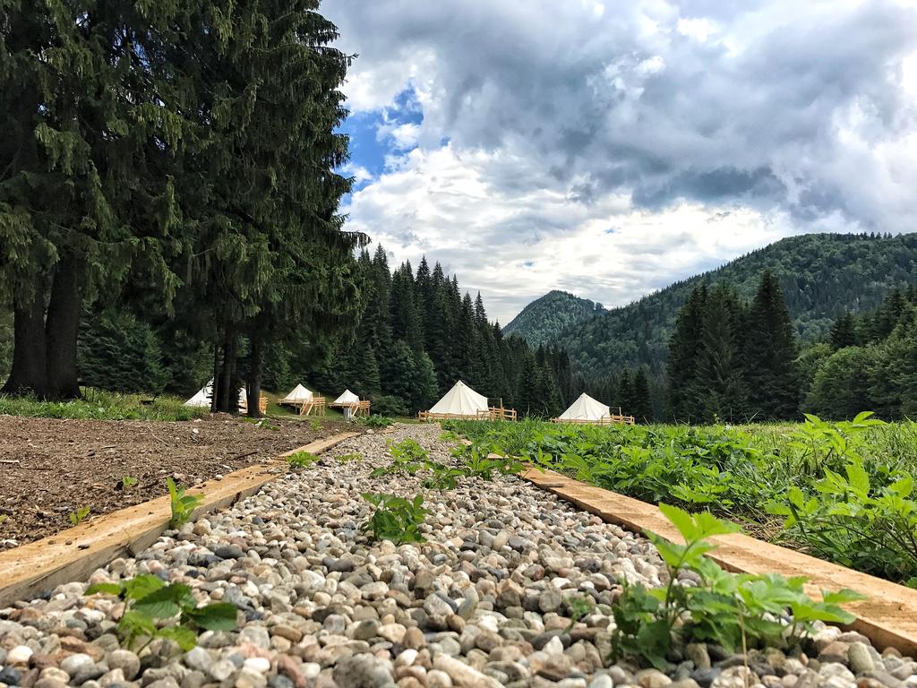 camping valea iarului