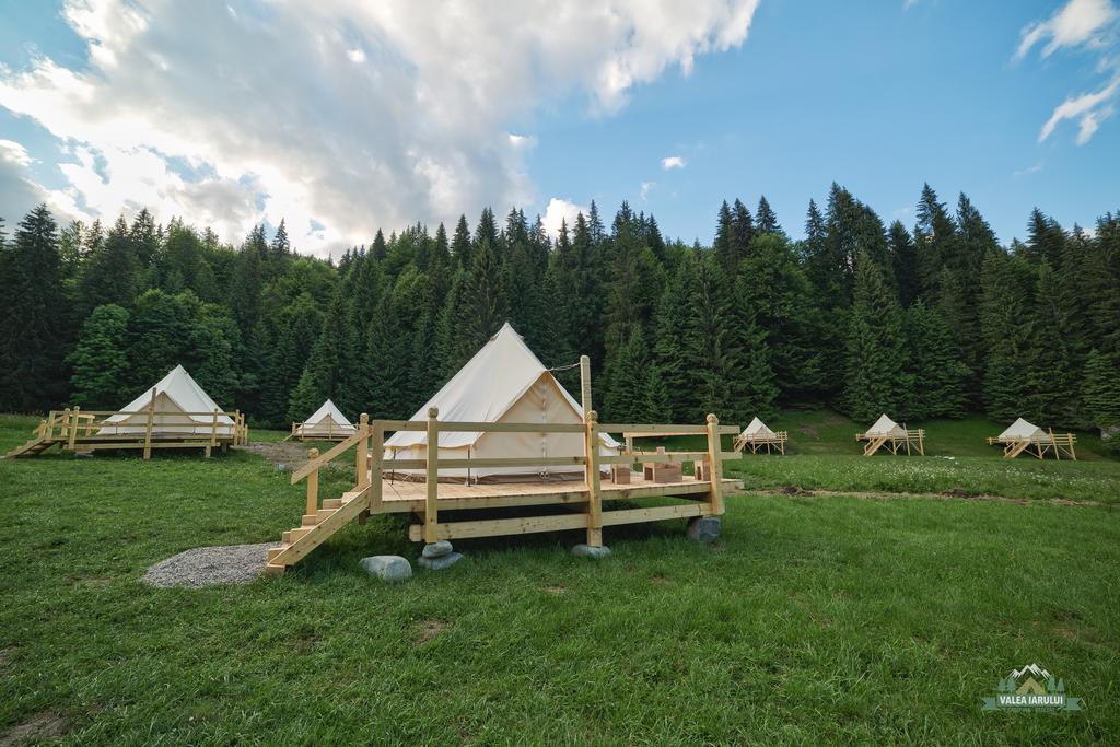 camping valea iarului