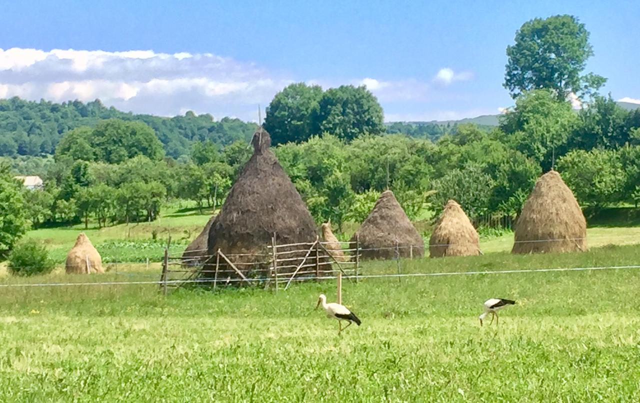 cazare breb maramures