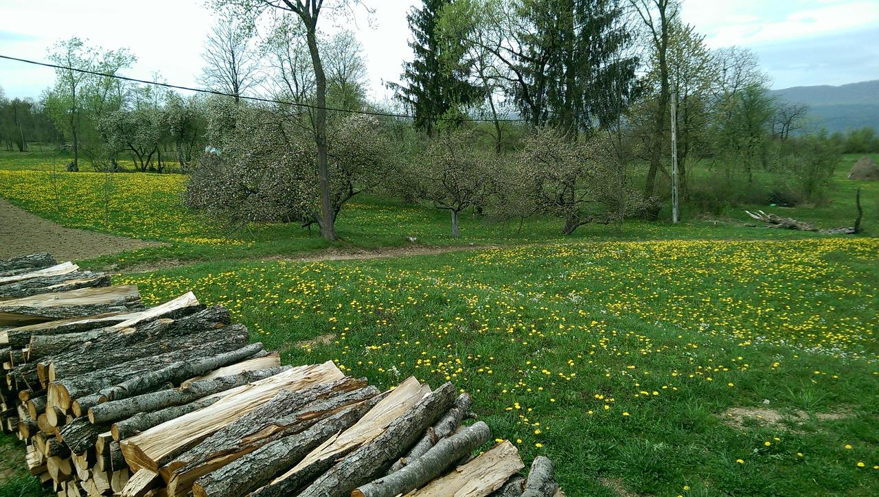 cazare breb maramures