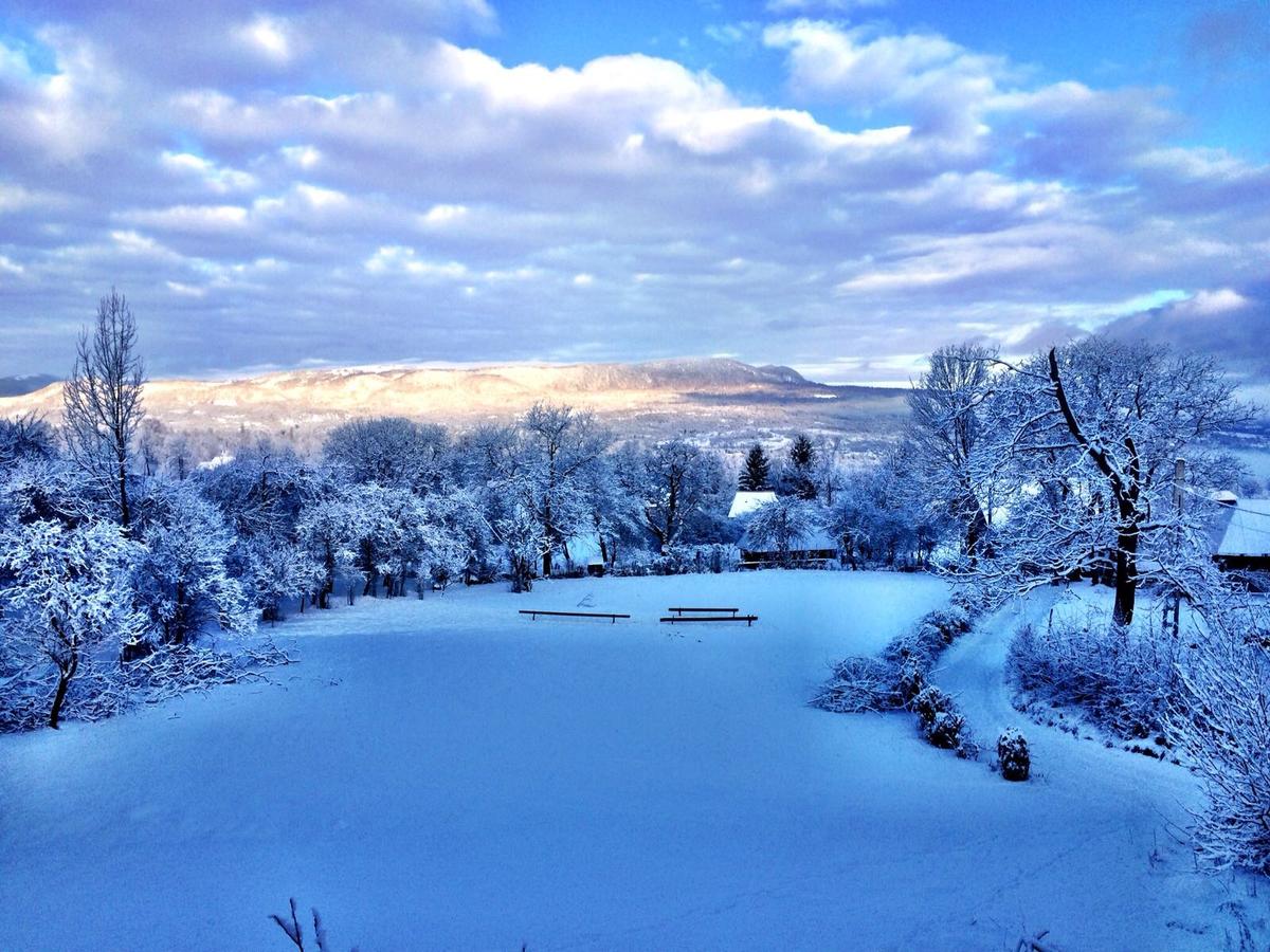 pensiuni maramures