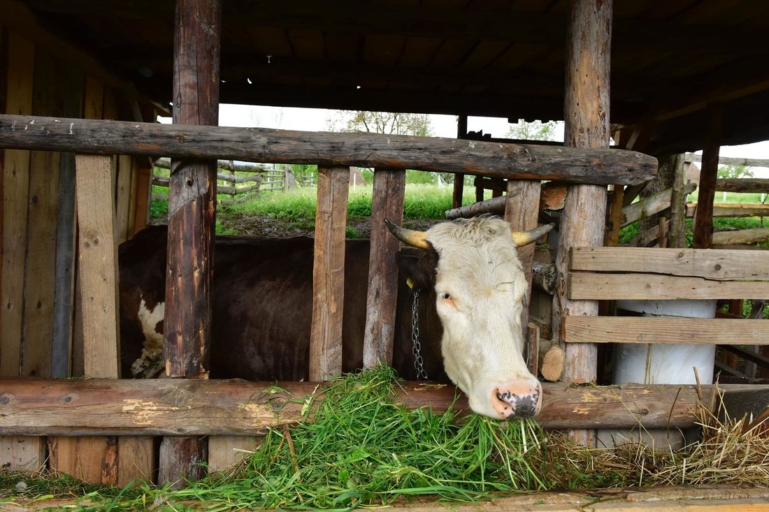 atractii turistice maramures