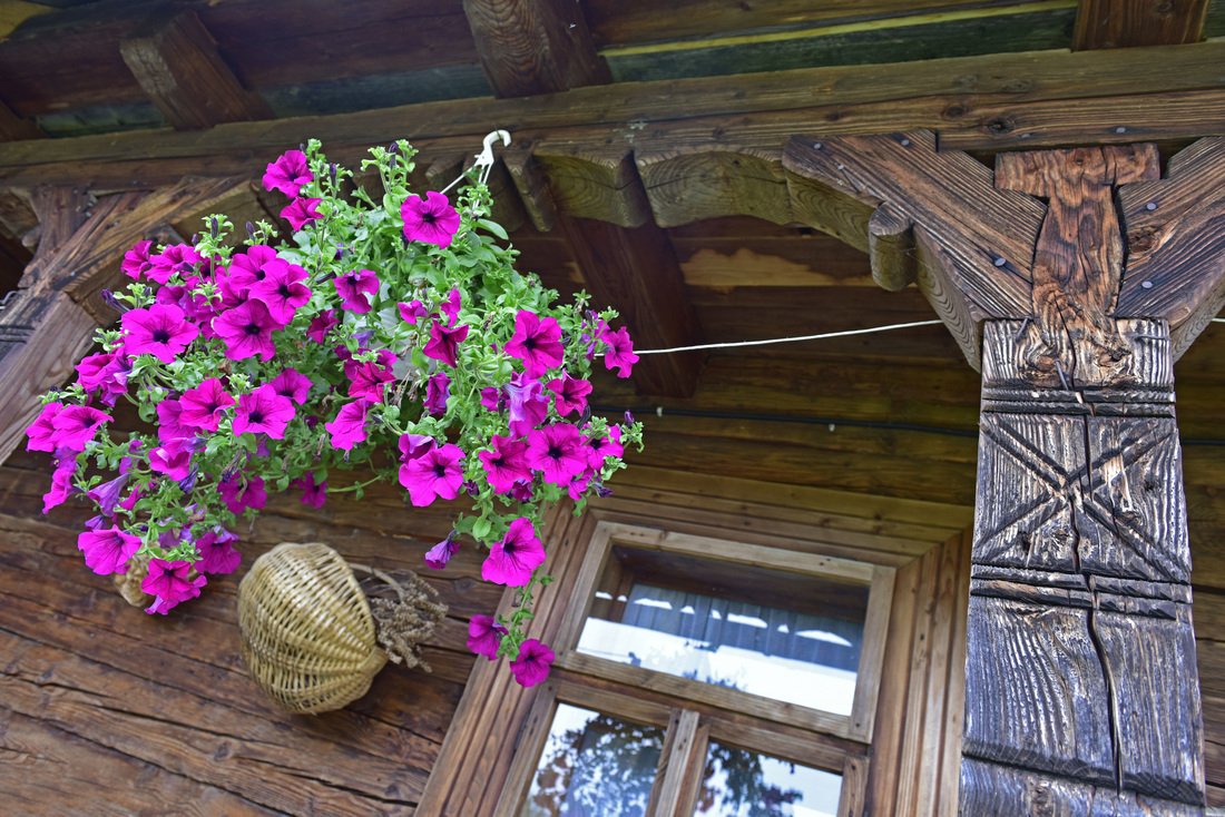 pensiuni maramures