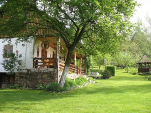 casa traditionala stoenesti