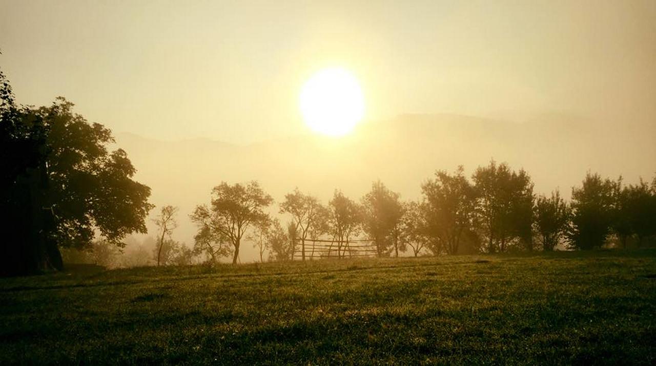 maramures