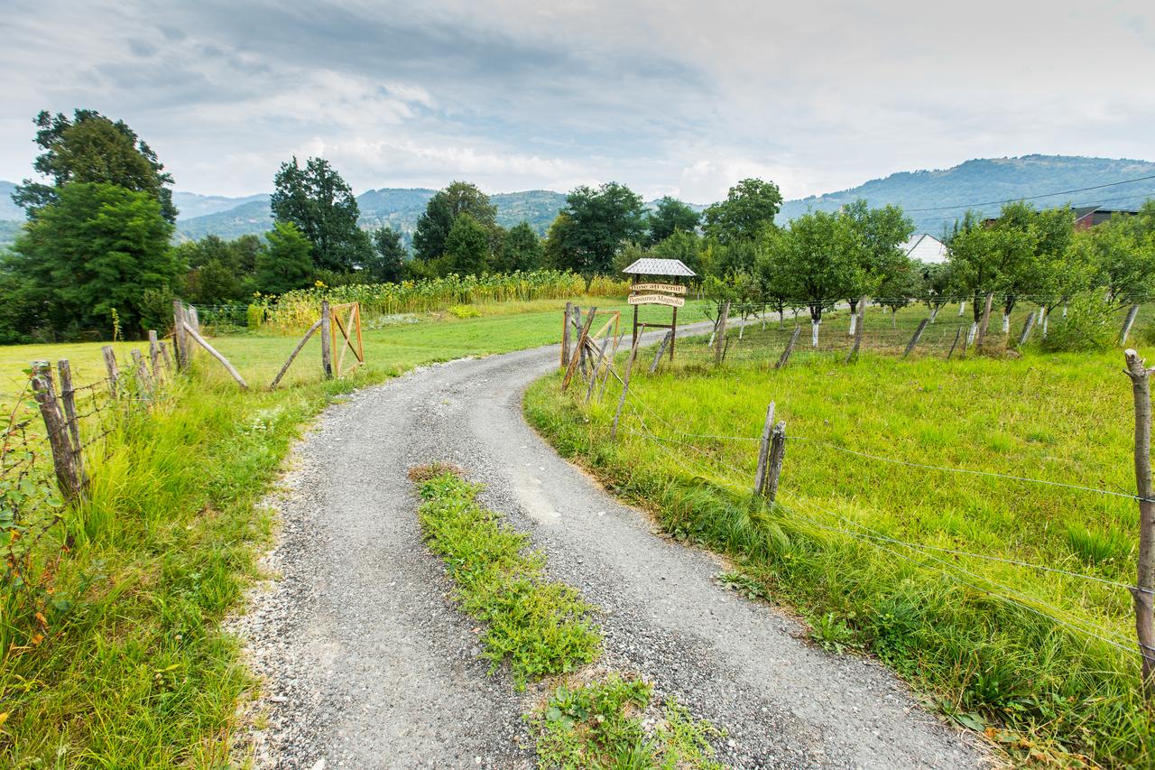 cazare maramures