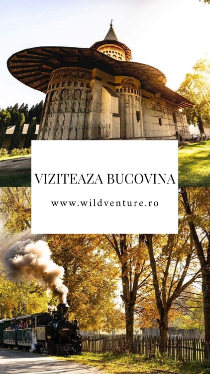 viziteaza bucovina