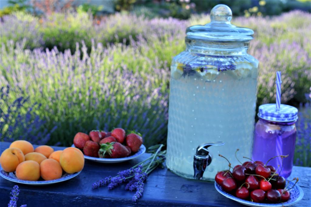 cerdacul cu lavanda