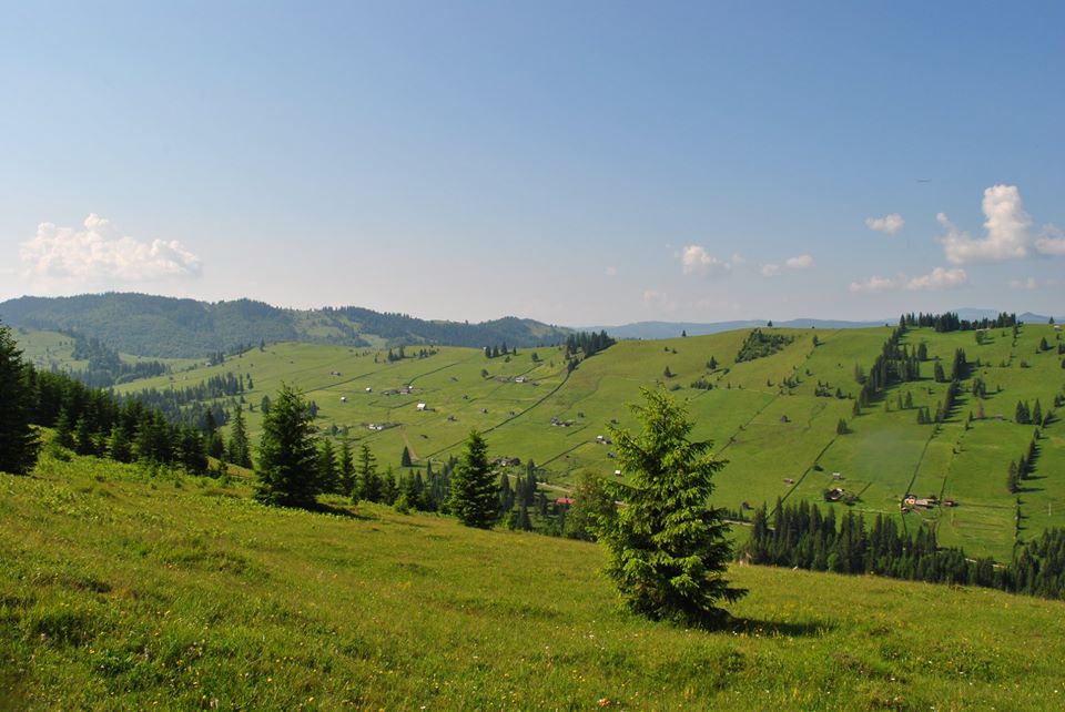 vacanta in bucovina