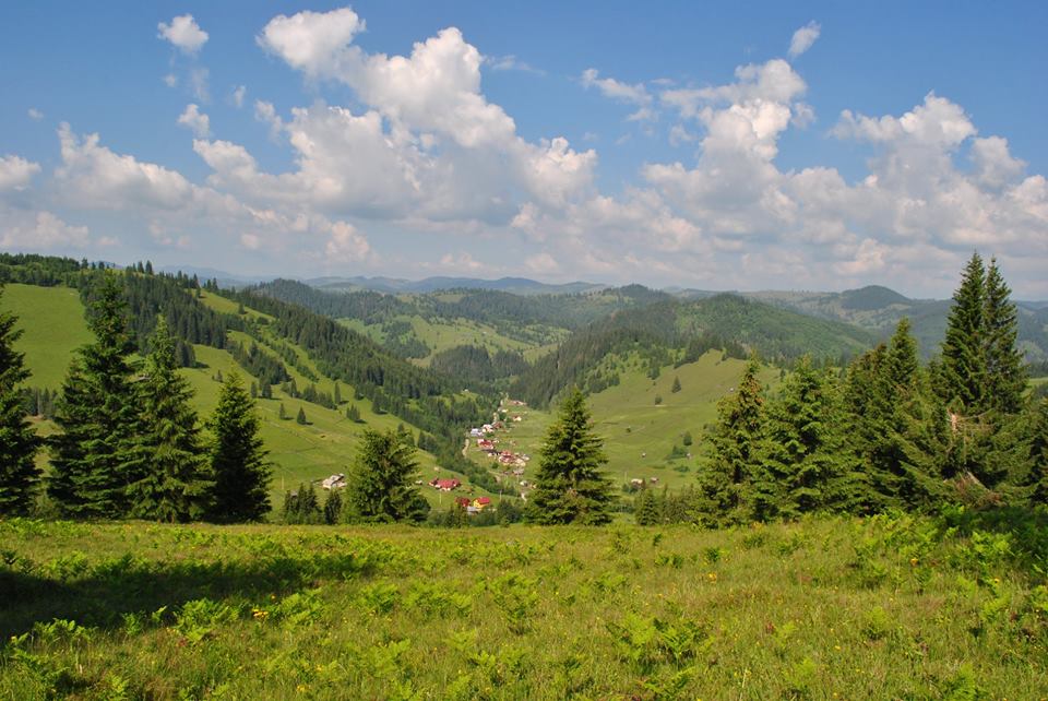 vacanta in bucovina