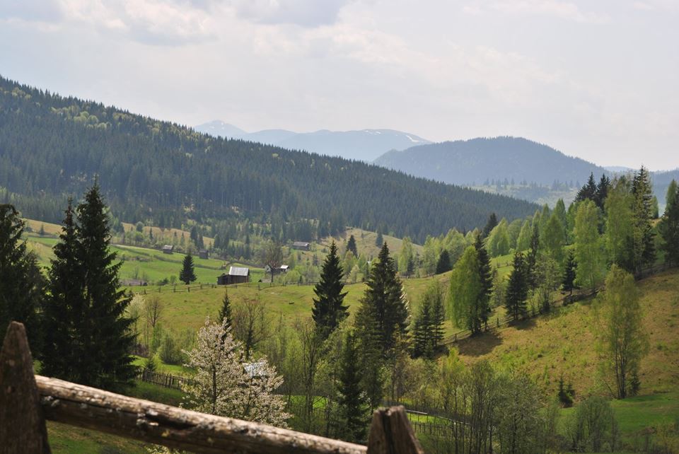 vacanta in bucovina