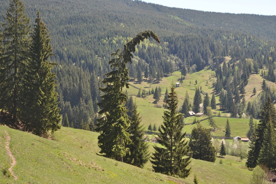 vacanta in bucovina