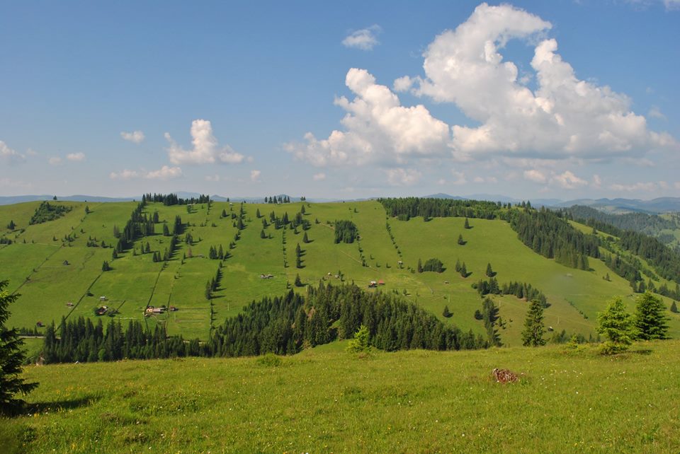 vacanta in bucovina