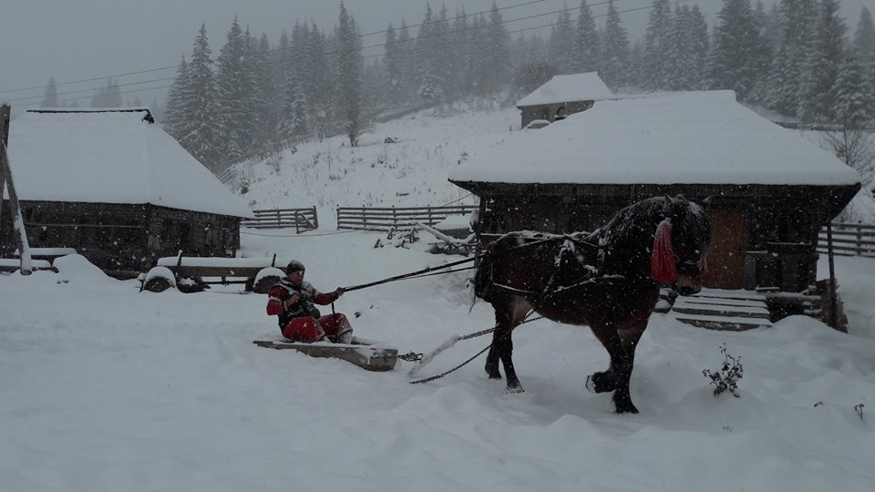 iarna in bucovina