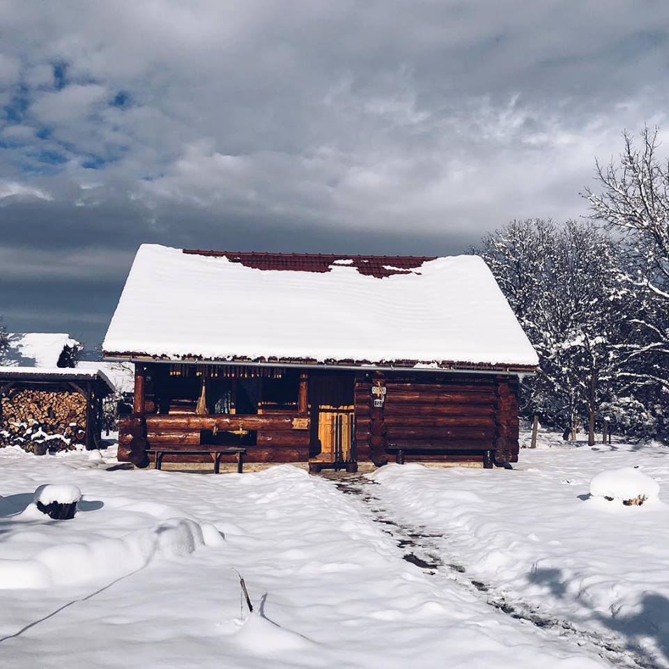 transylvania log cabins