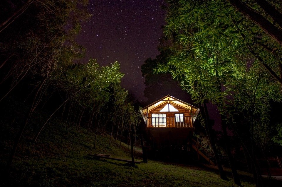 loft treehouse