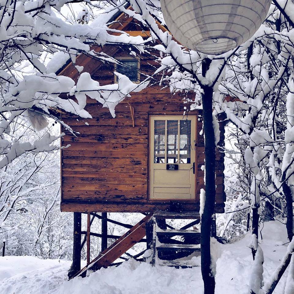 transylvania log cabins