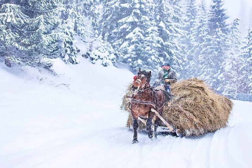 iarna in bucovina