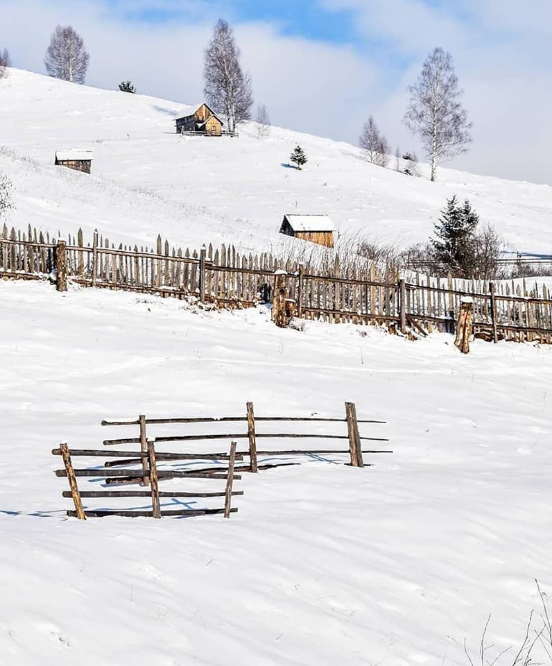 iarna in bucovina