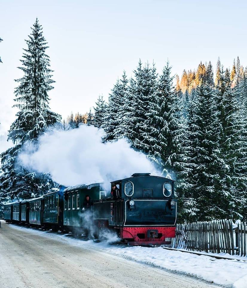 iarna in bucovina