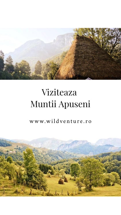 viziteaza muntii apuseni