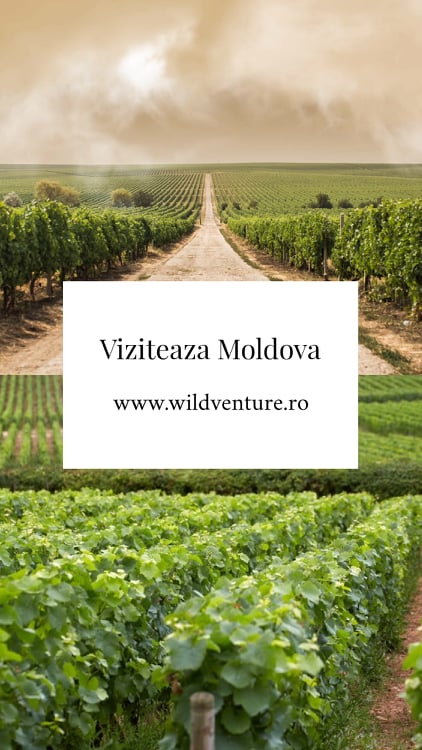 viziteaza moldova