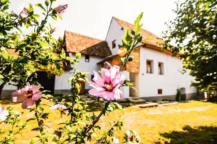 cazare casa traditionala transilvania