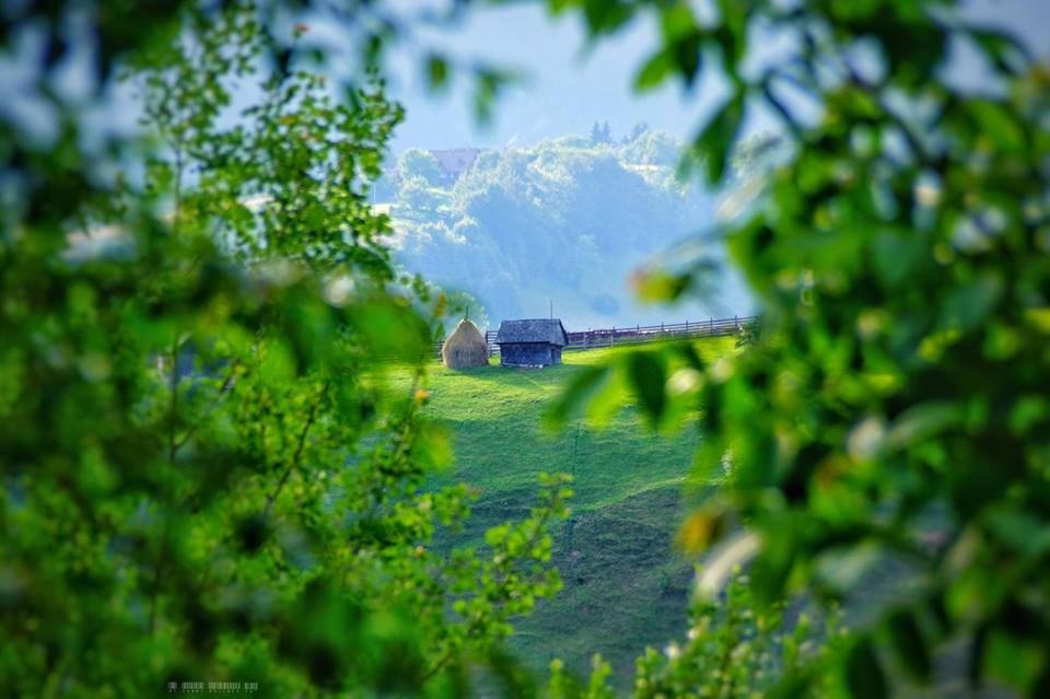 peisaje piatra craiului