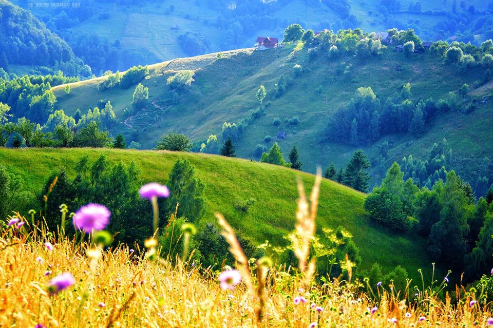 cazare, magura brasov