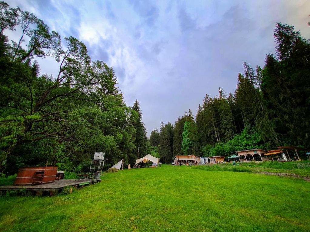 camping lunca bradului