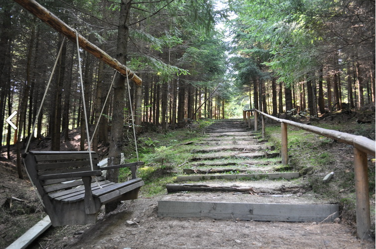 padure brazi bucovina