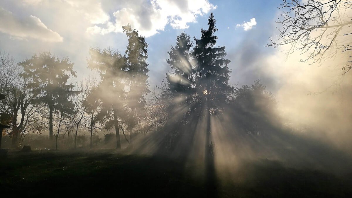 gradina conac serghiescu