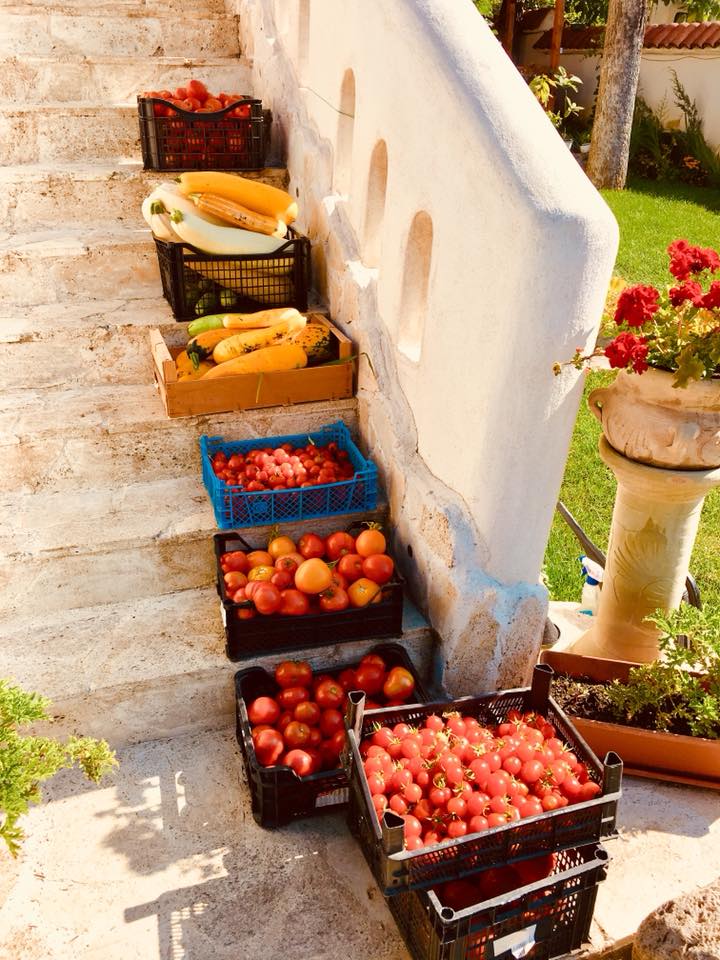 slow food terra carpatica buzau