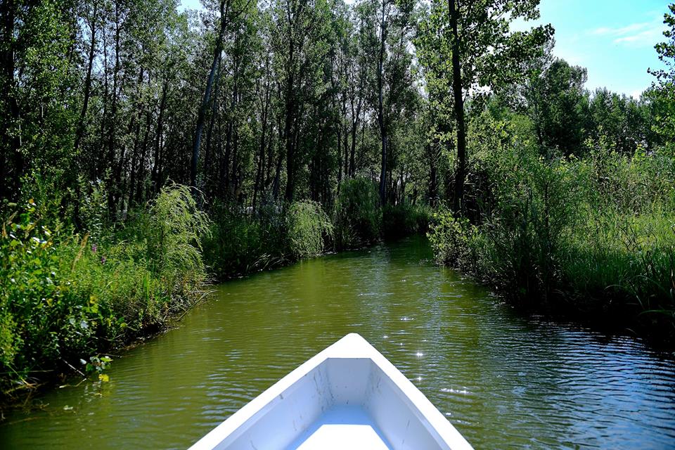 barca delta moldovei