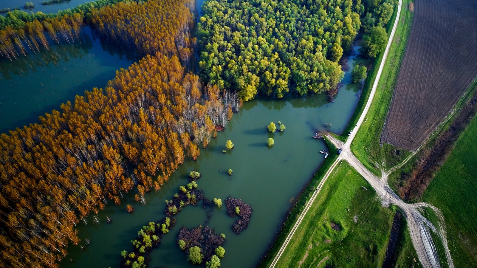 insula mica a brailei