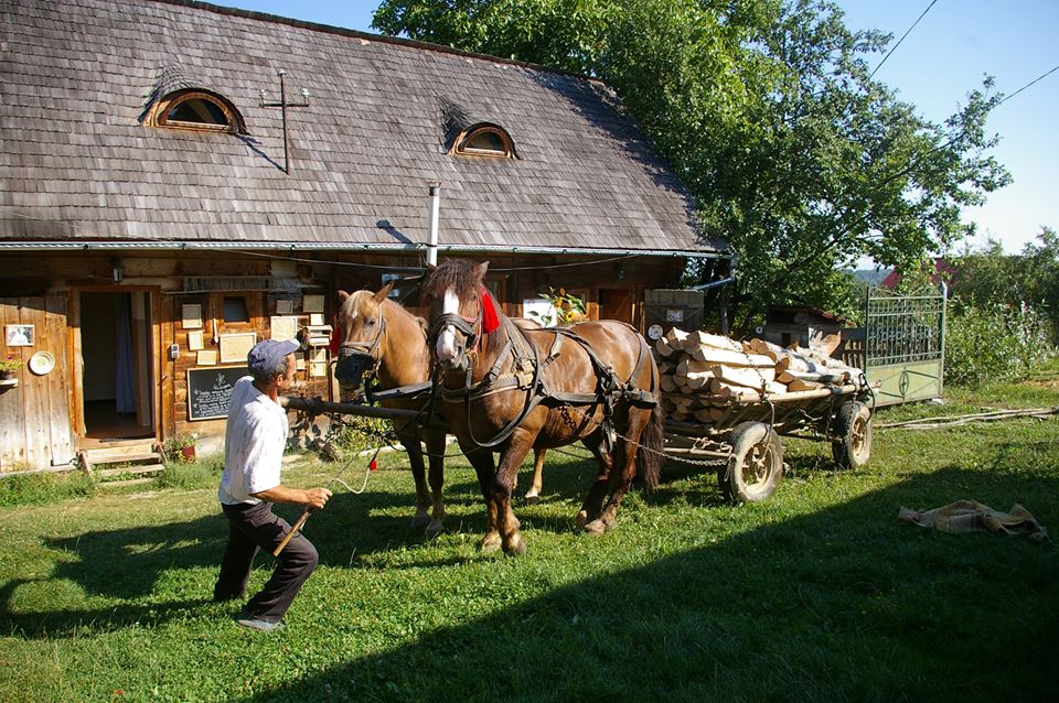 cazare case traditionale maramures