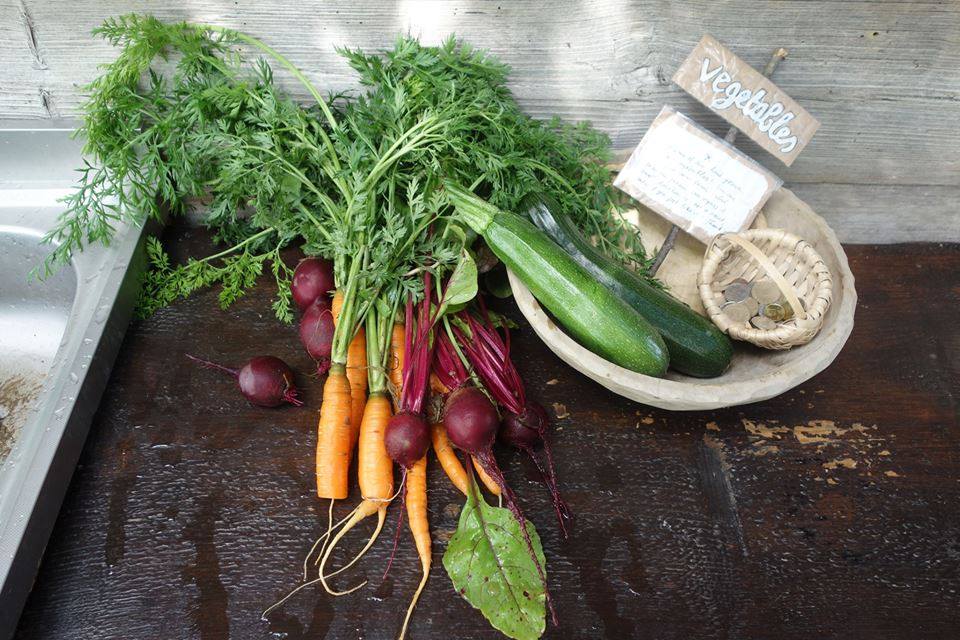 farm to table maramures
