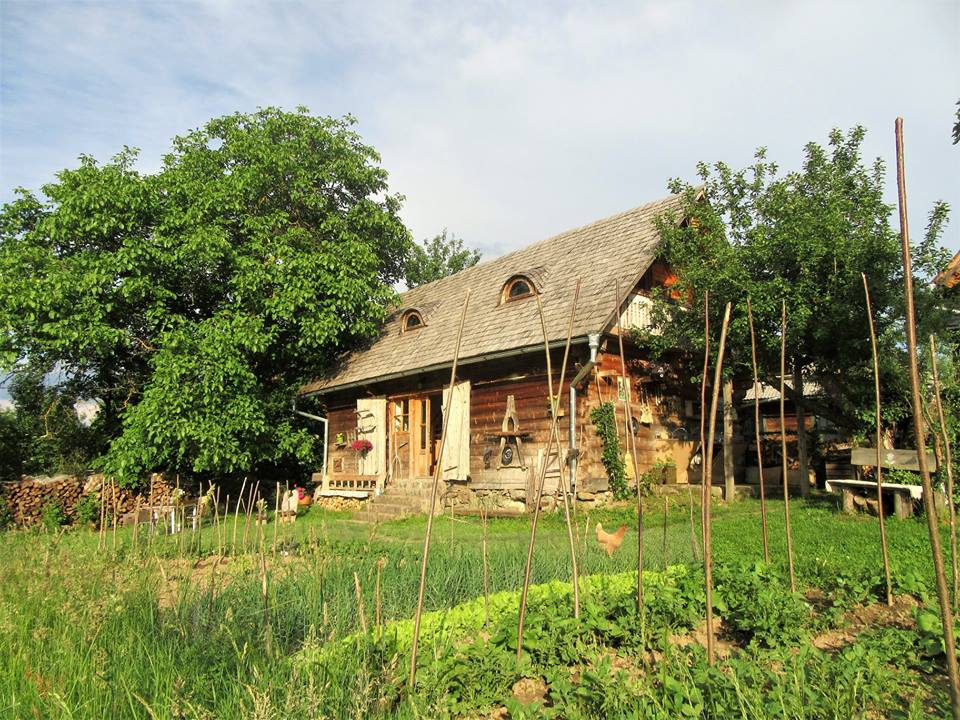 babou maramures