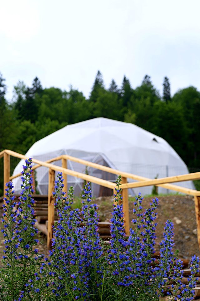 cazare glamping wegloo