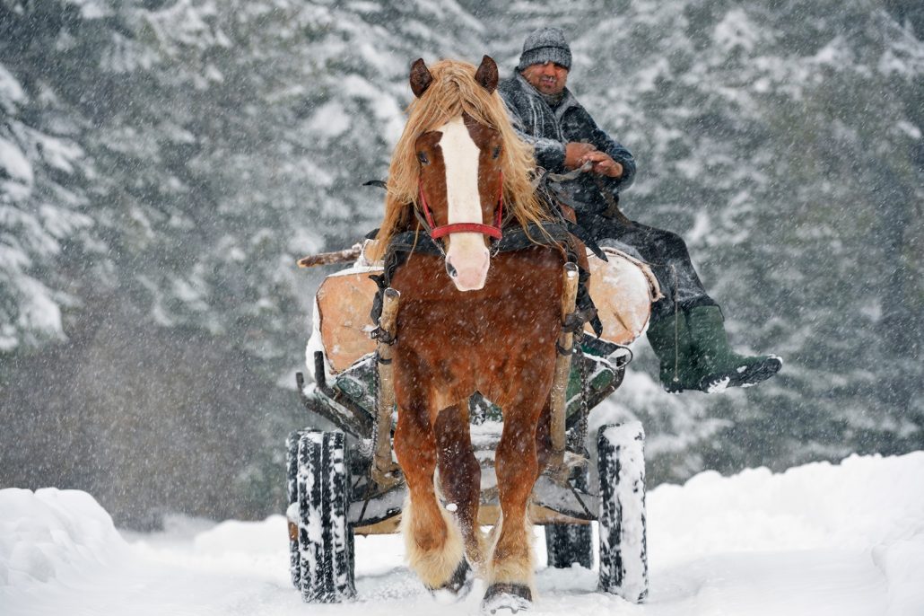 iarna in bucovina