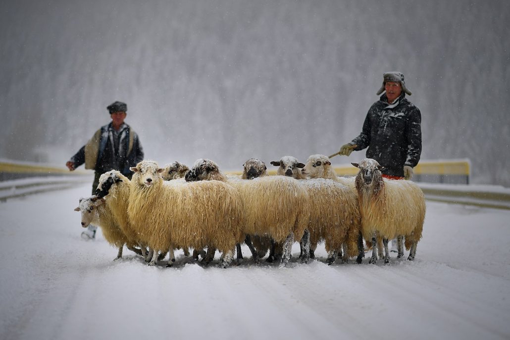 iarna in bucovina