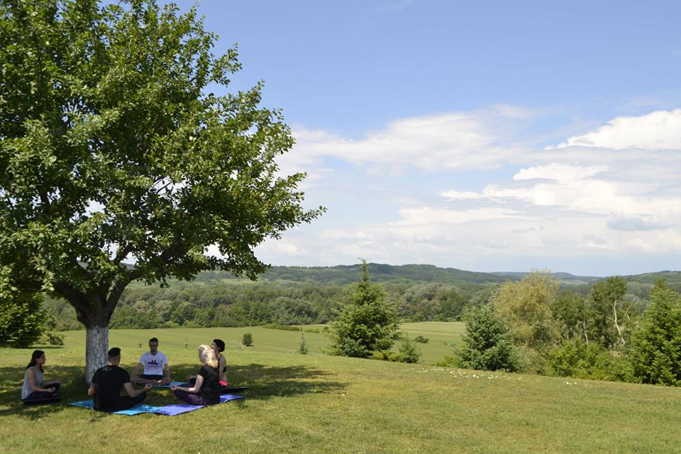 forest retreat & spa yoga