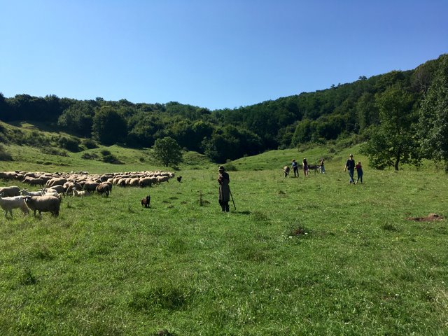 activitati turistice transilvania