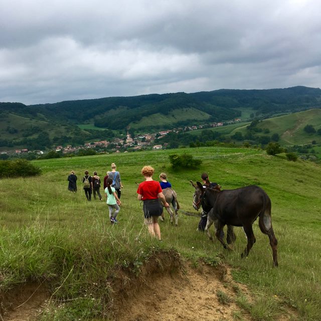 activitati turistice transilvania