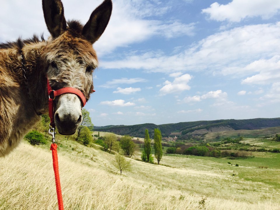 activitati turistice transilvania